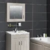 York Grey Bathroom Cabinet With Mirror - 600mm 1 York Grey Bathroom Cabinet With Mirror - 600mm -Duravit Bathroom Shop olf213 detail1